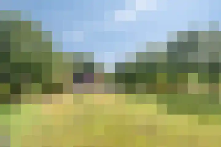 de Ring 31 Leutingewolde thumbnail 42