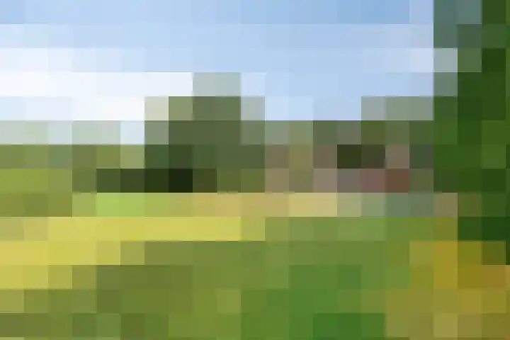 de Ring 31 Leutingewolde thumbnail 43