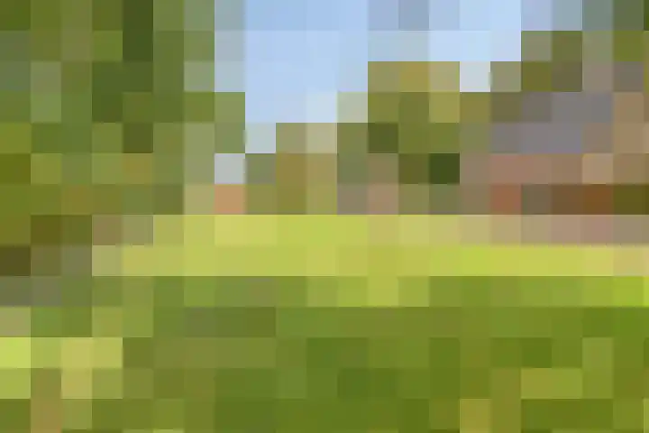 de Ring 31 Leutingewolde thumbnail 44