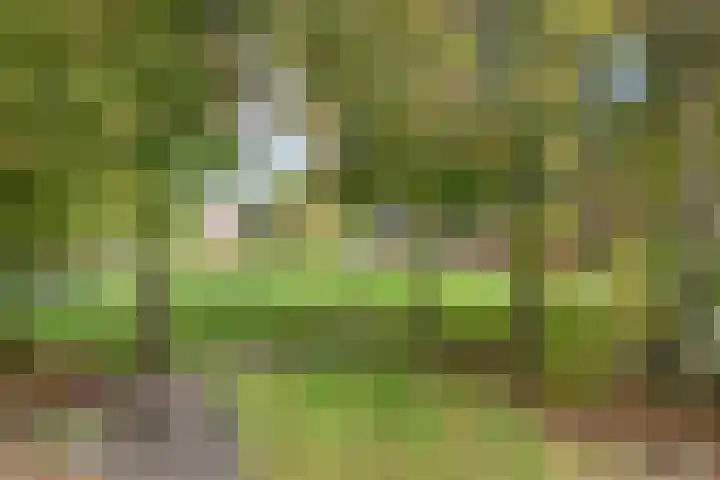 de Ring 31 Leutingewolde thumbnail 45
