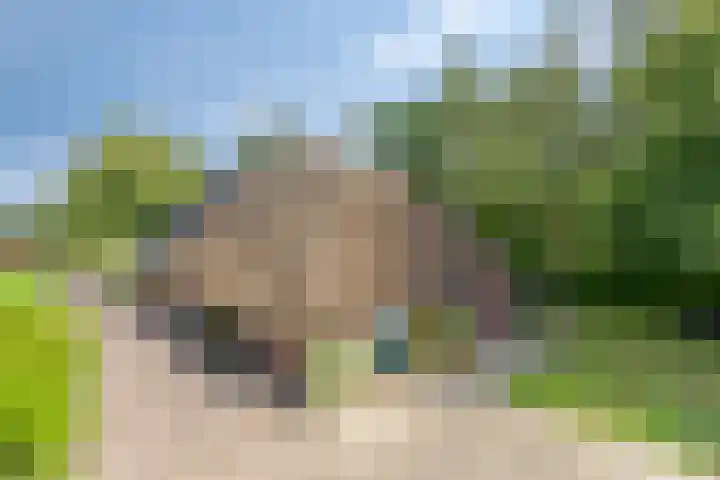 de Ring 31 Leutingewolde thumbnail 46
