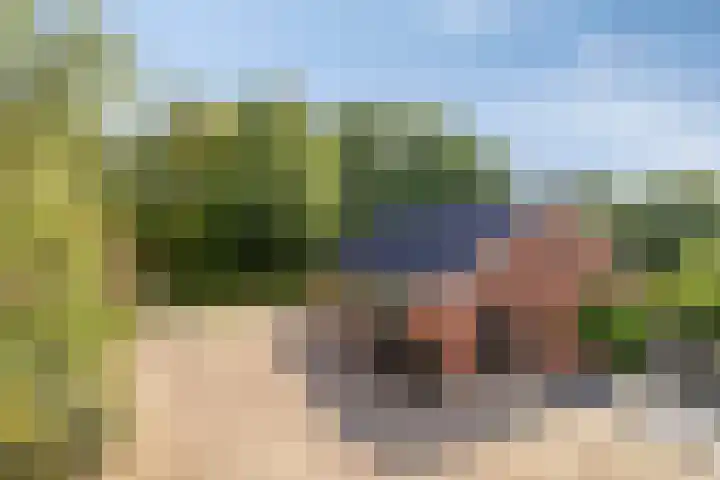 de Ring 31 Leutingewolde thumbnail 47