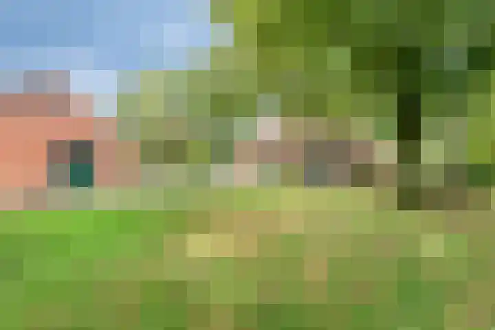 de Ring 31 Leutingewolde thumbnail 49