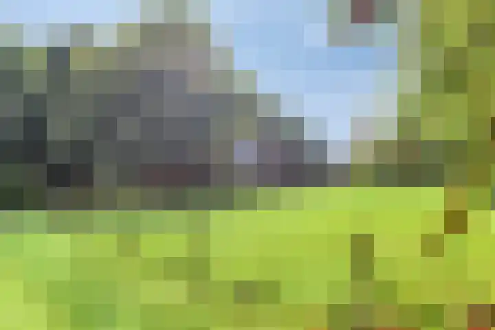 de Ring 31 Leutingewolde thumbnail 5