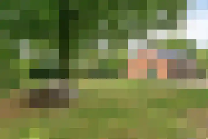 de Ring 31 Leutingewolde thumbnail 50