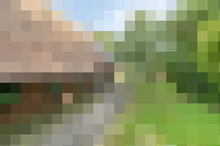 de Ring 31 Leutingewolde thumbnail 52