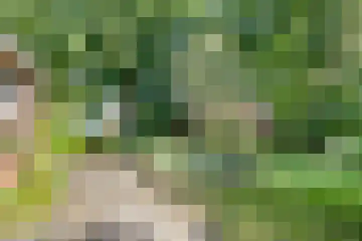 de Ring 31 Leutingewolde thumbnail 53