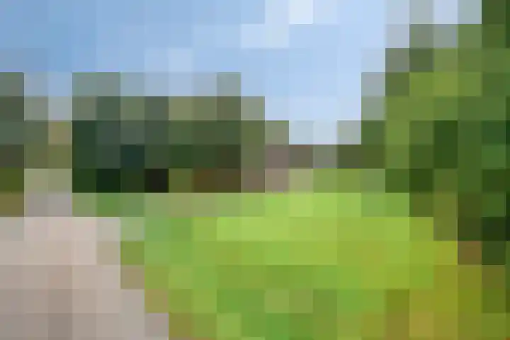 de Ring 31 Leutingewolde thumbnail 54