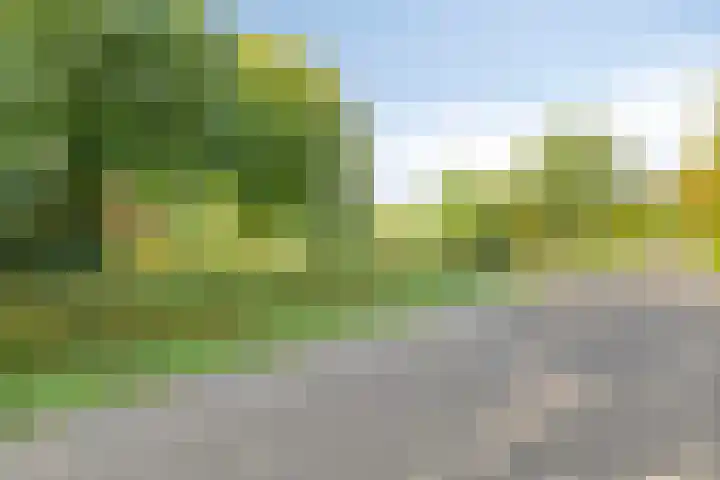 de Ring 31 Leutingewolde thumbnail 56