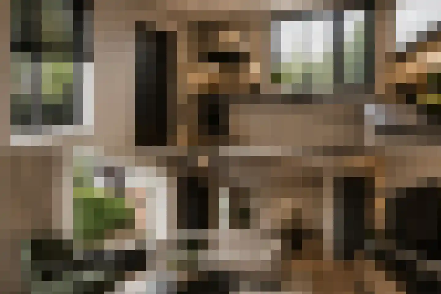 De Ring 62 Buitenpost thumbnail 22