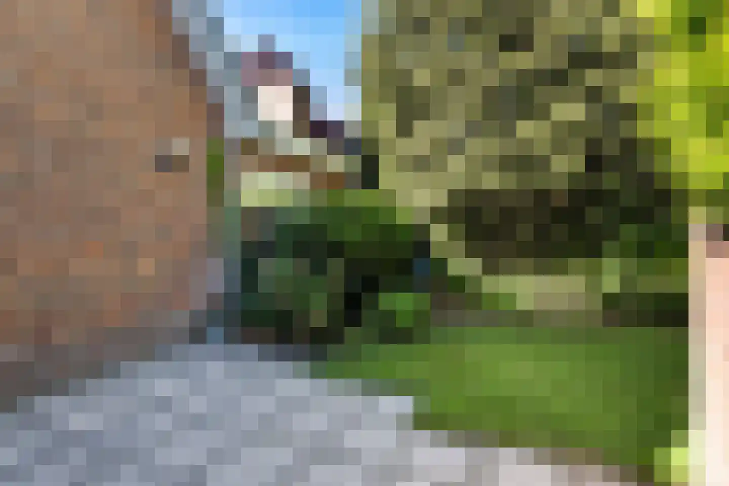 De Ring 62 Buitenpost thumbnail 30