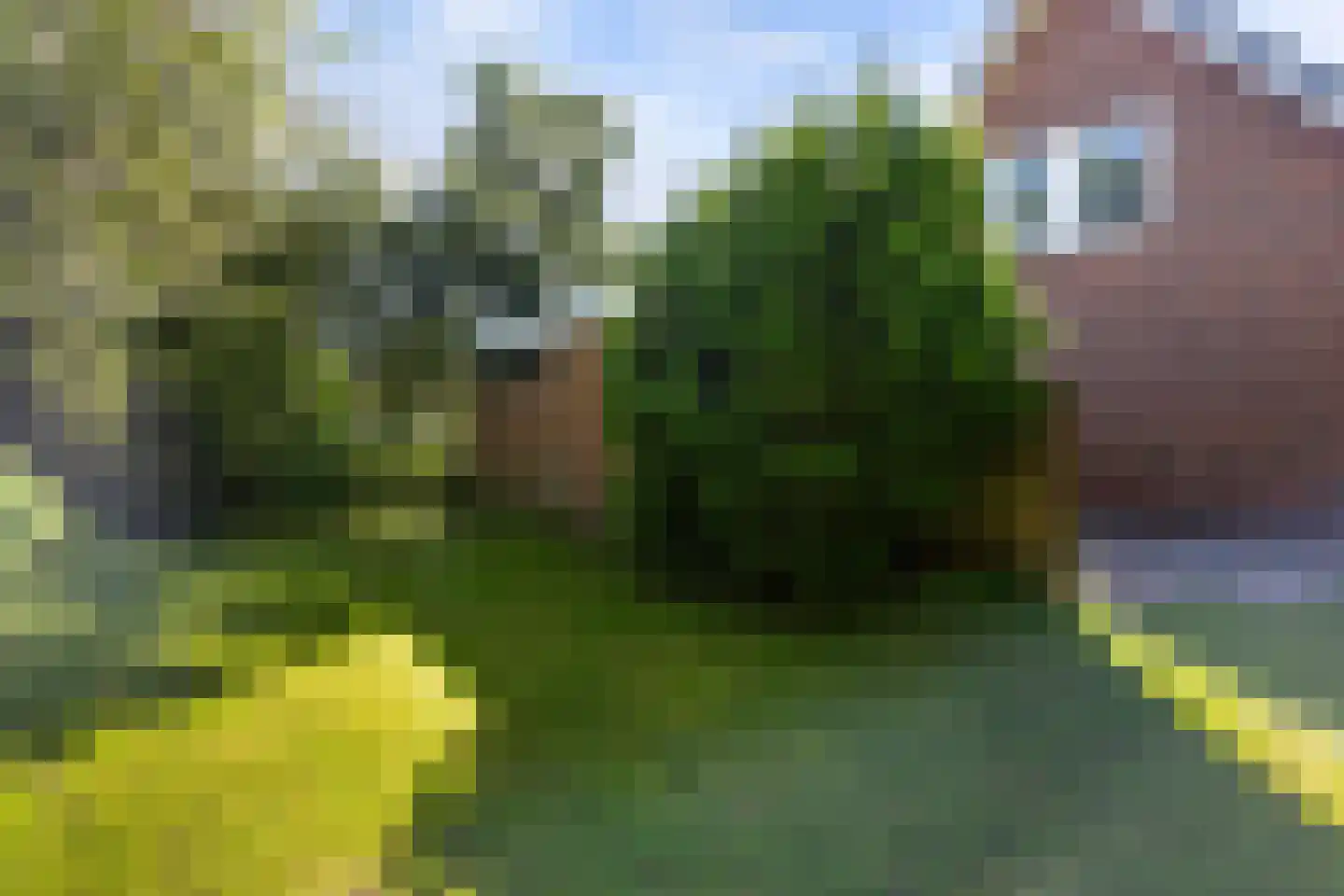 De Ring 62 Buitenpost thumbnail 33