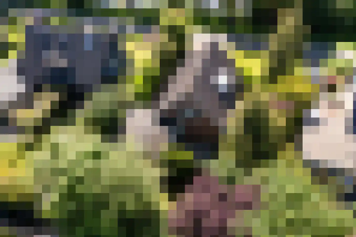 De Ring 62 Buitenpost thumbnail 4