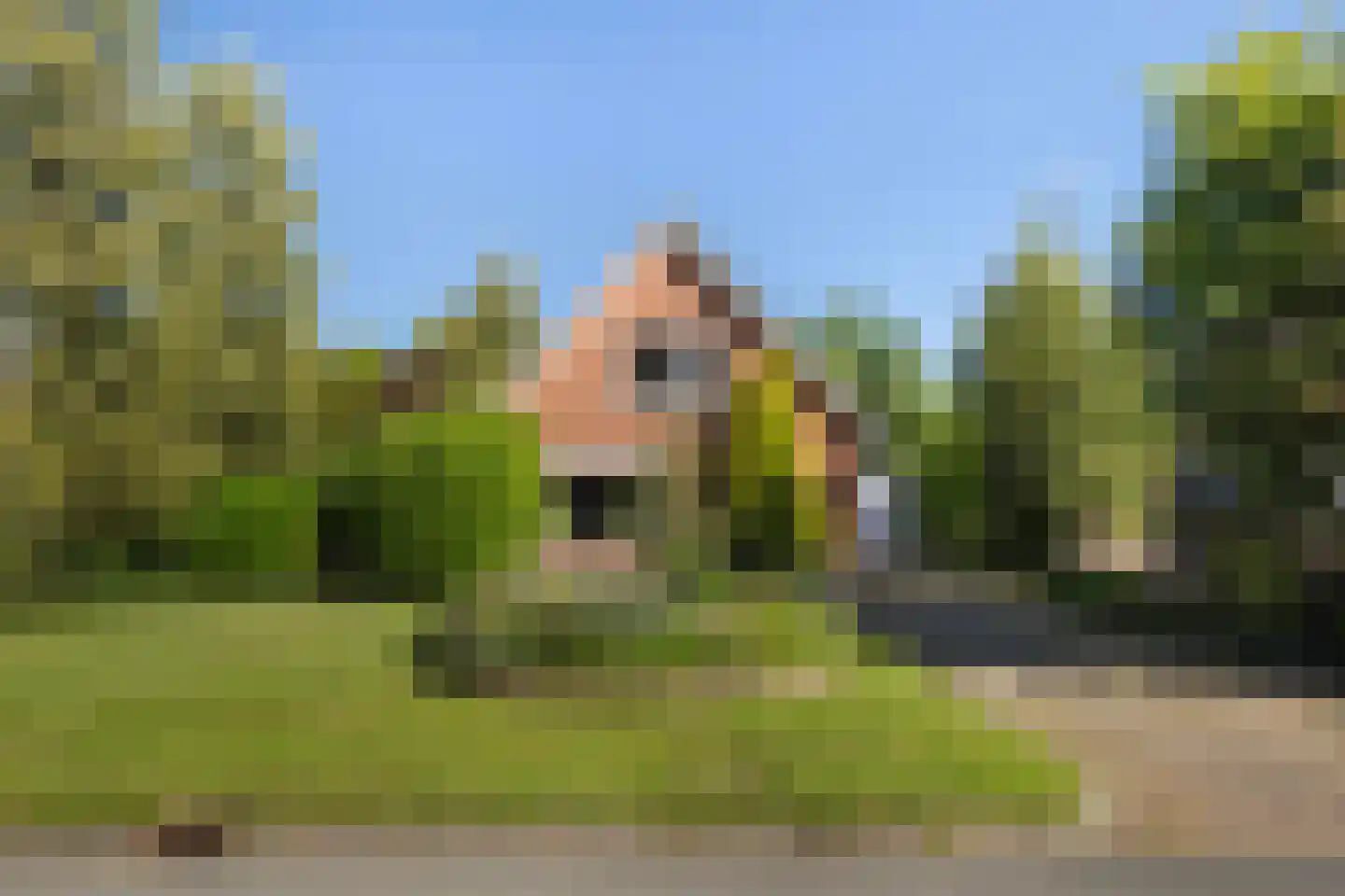 De Ring 62 Buitenpost thumbnail 6