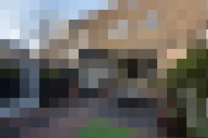 De Ring 75 Wekerom thumbnail 22