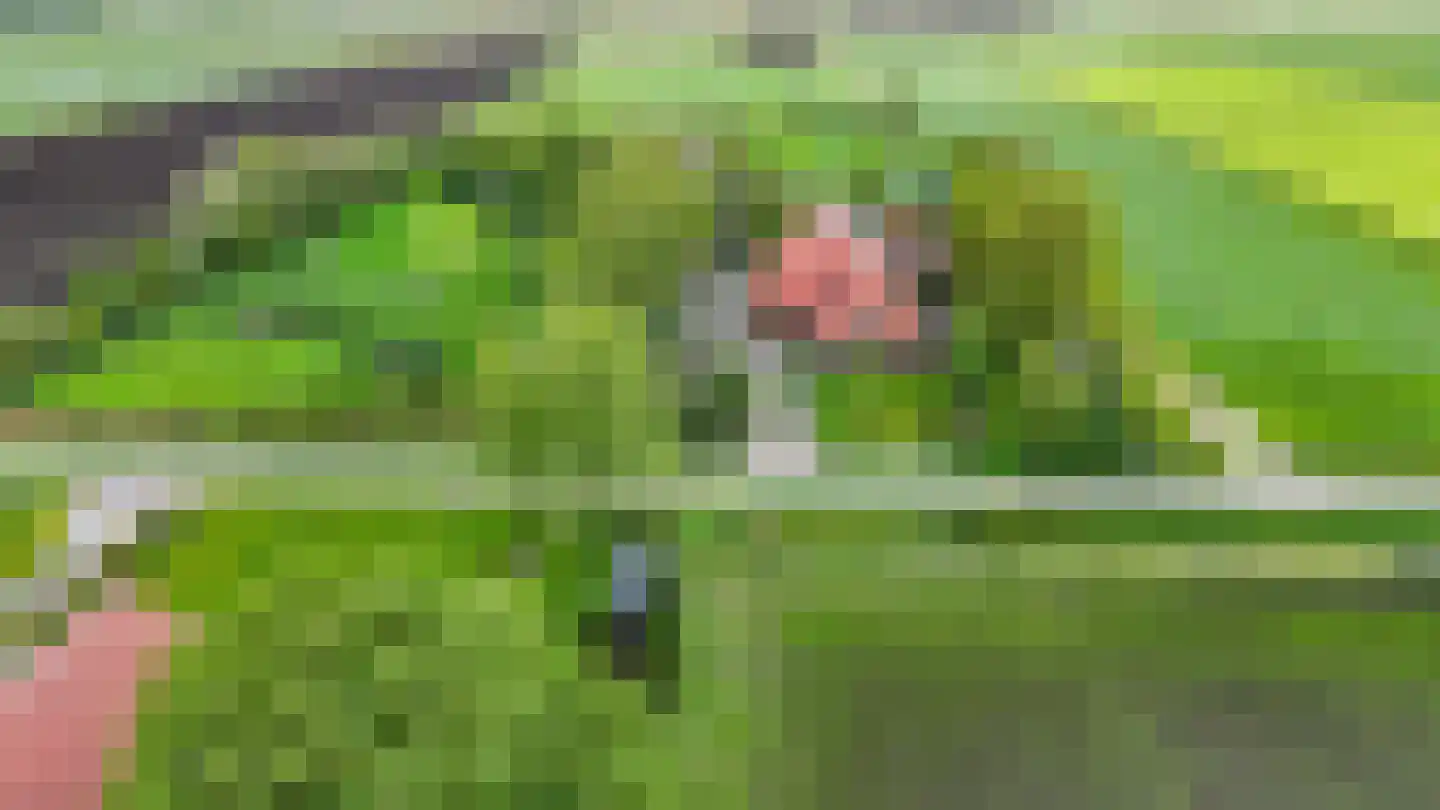 De Ripen 16 Nij Beets thumbnail 10