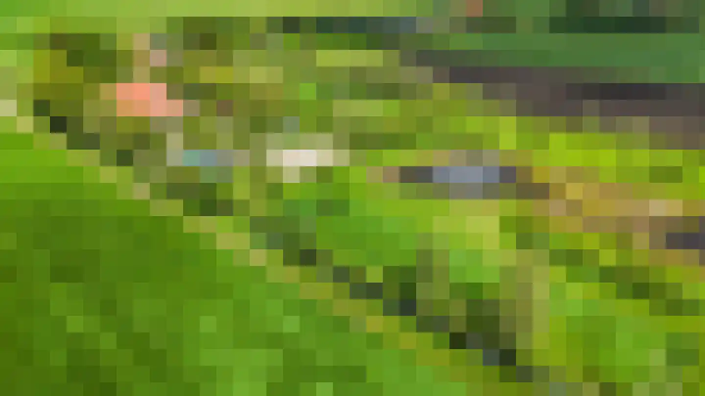 De Ripen 16 Nij Beets thumbnail 11