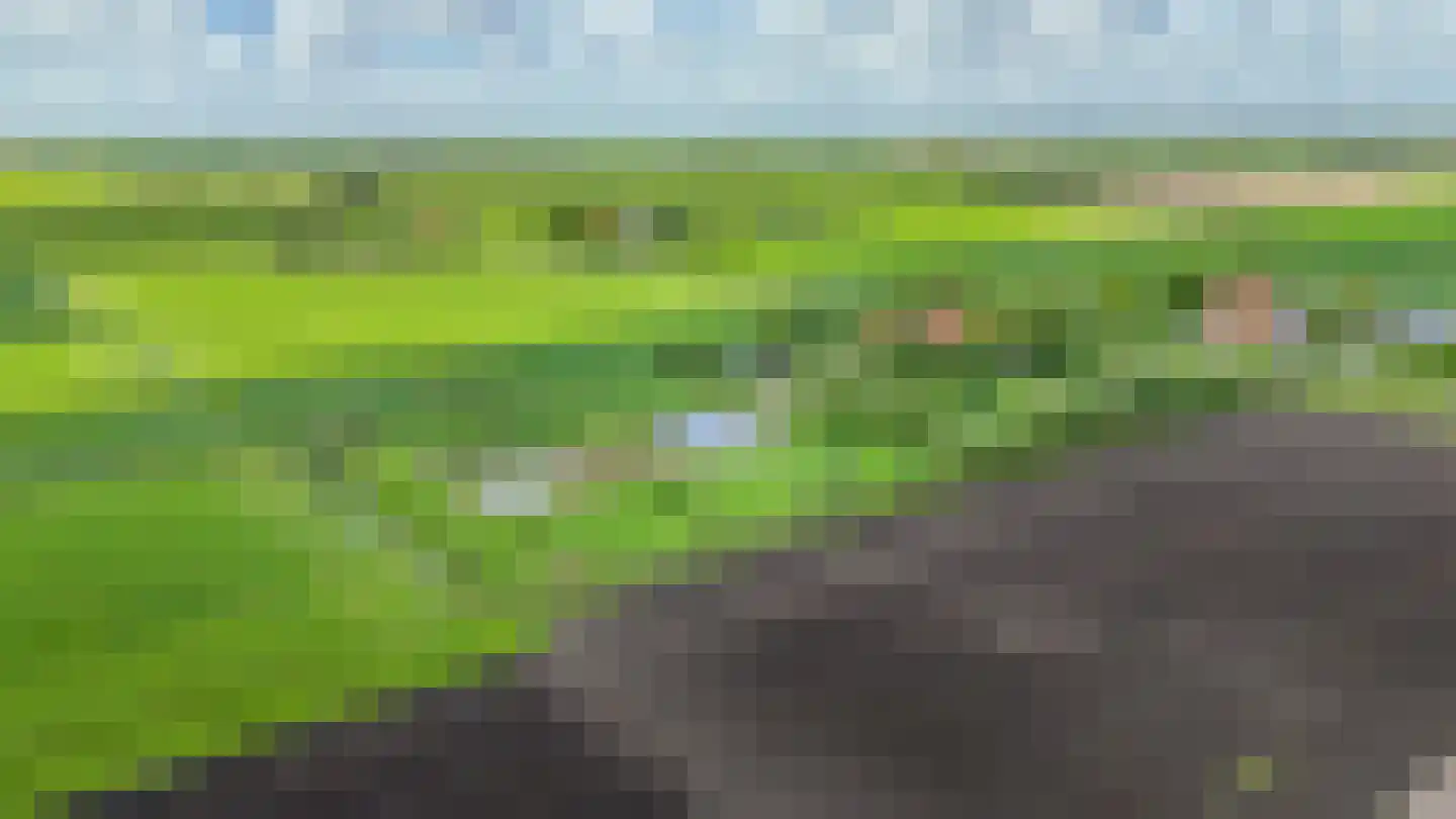 De Ripen 16 Nij Beets thumbnail 14