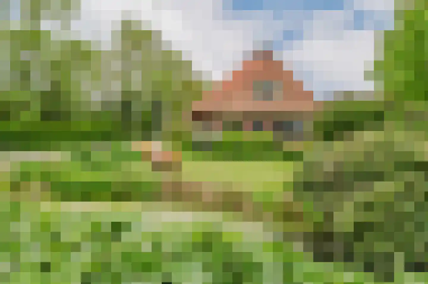 De Ripen 16 Nij Beets thumbnail 16