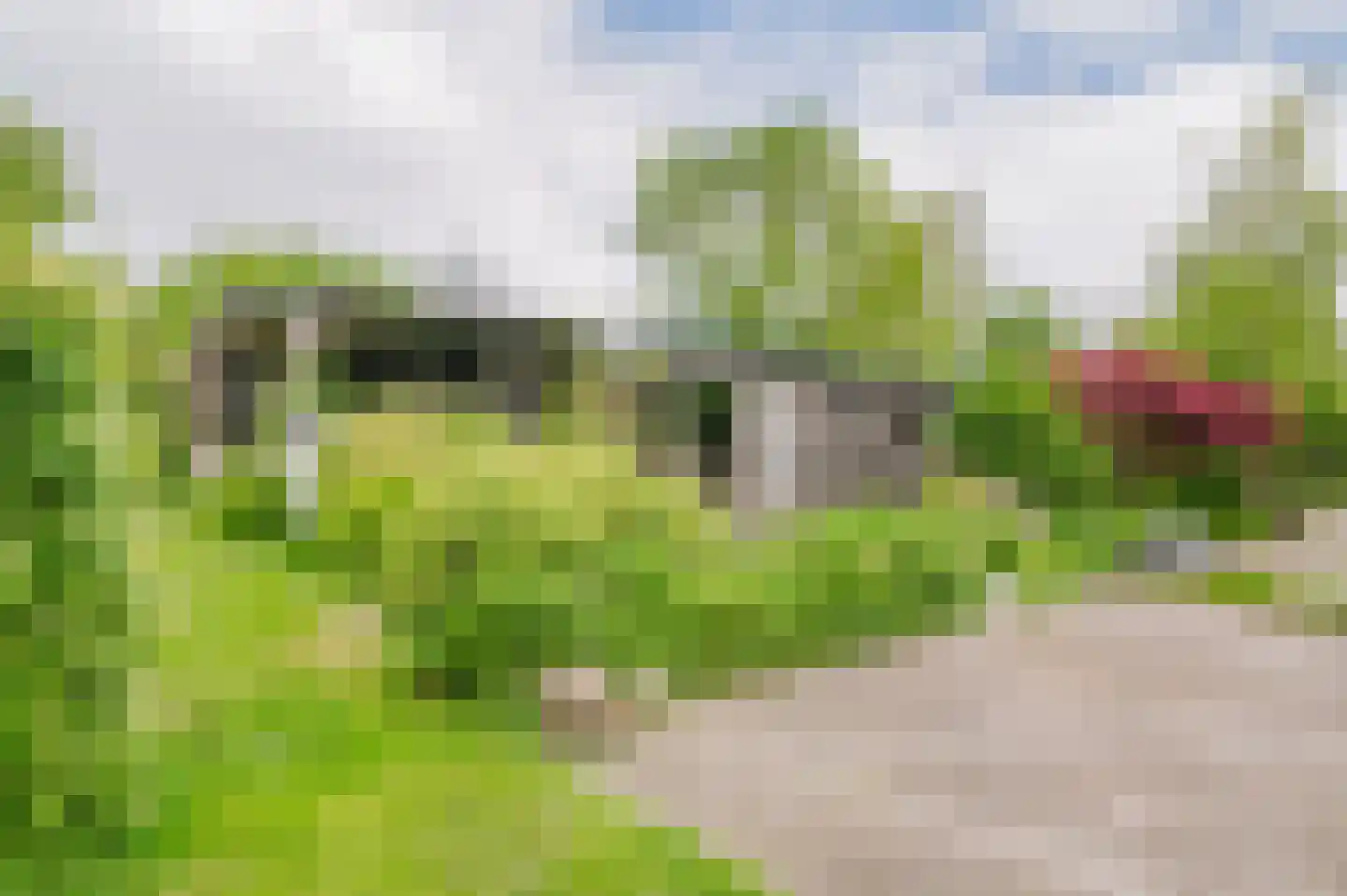 De Ripen 16 Nij Beets thumbnail 23