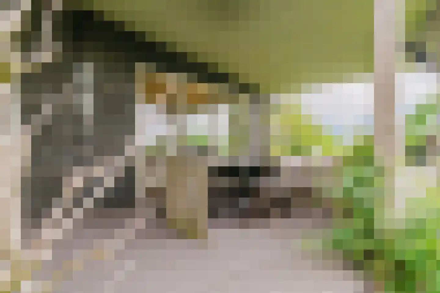 De Ripen 16 Nij Beets thumbnail 24
