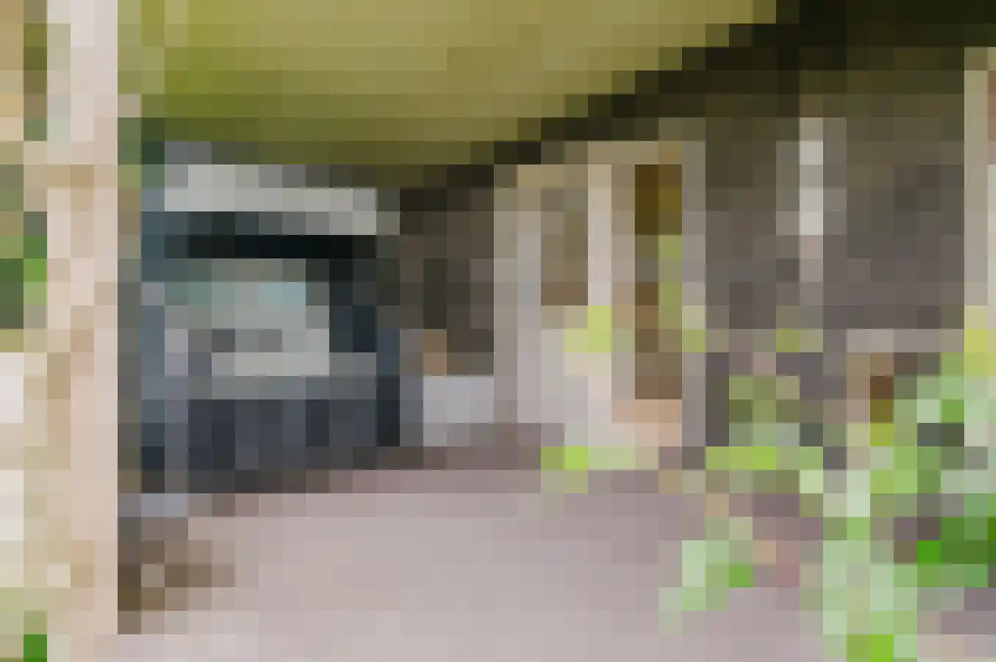 De Ripen 16 Nij Beets thumbnail 25