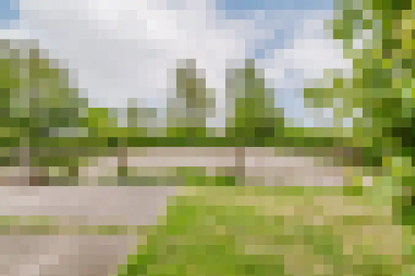 De Ripen 16 Nij Beets thumbnail 26