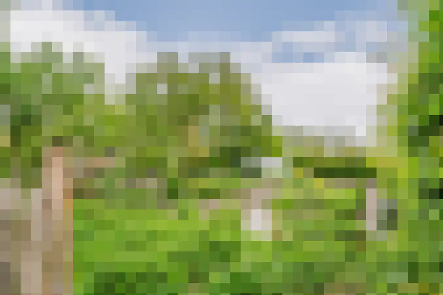De Ripen 16 Nij Beets thumbnail 27