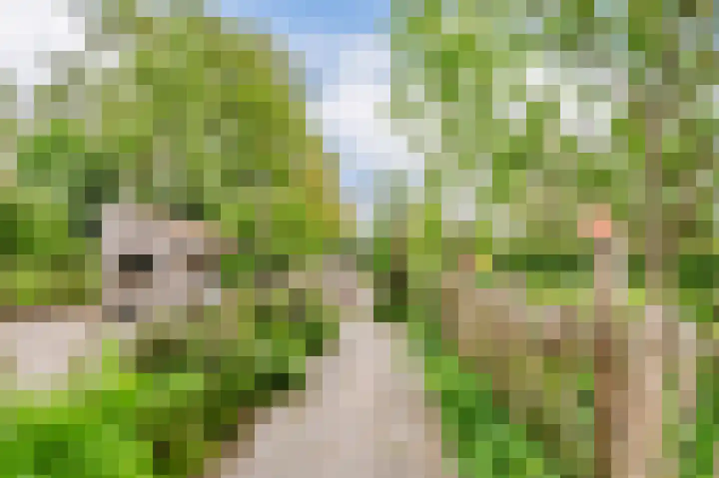 De Ripen 16 Nij Beets thumbnail 28