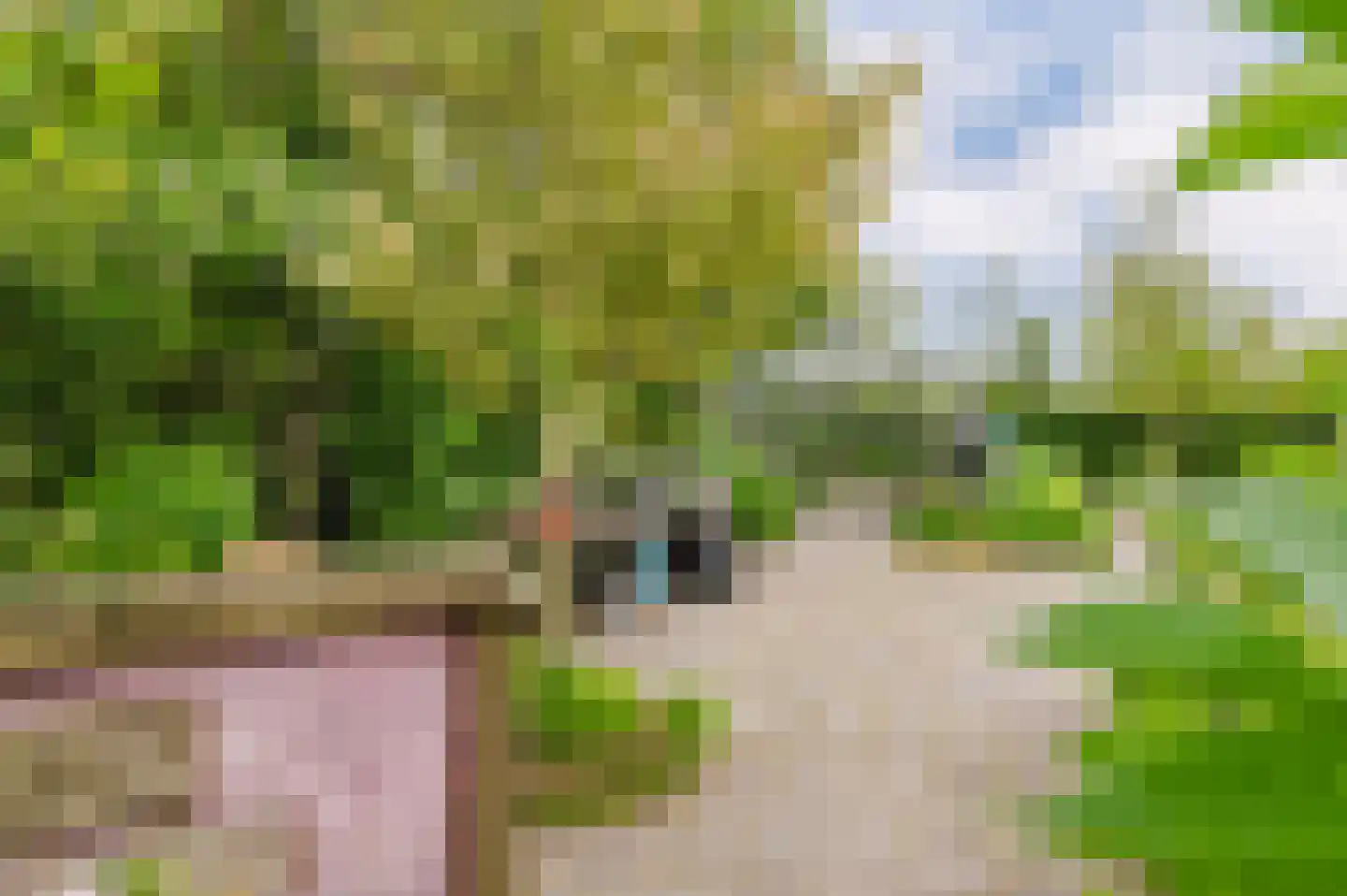 De Ripen 16 Nij Beets thumbnail 29