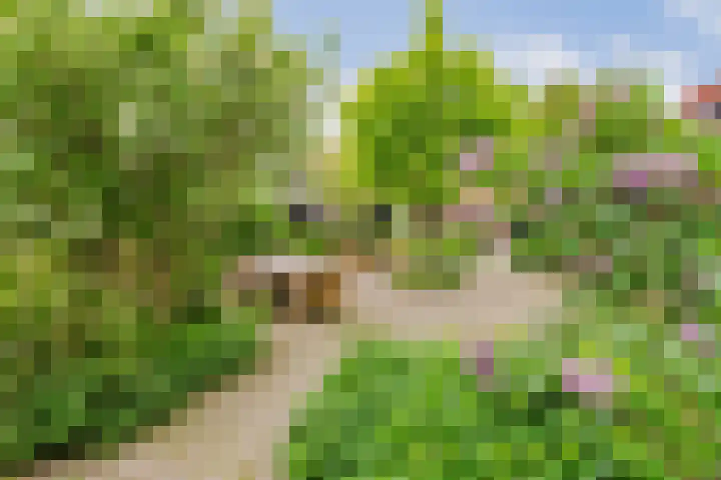 De Ripen 16 Nij Beets thumbnail 30