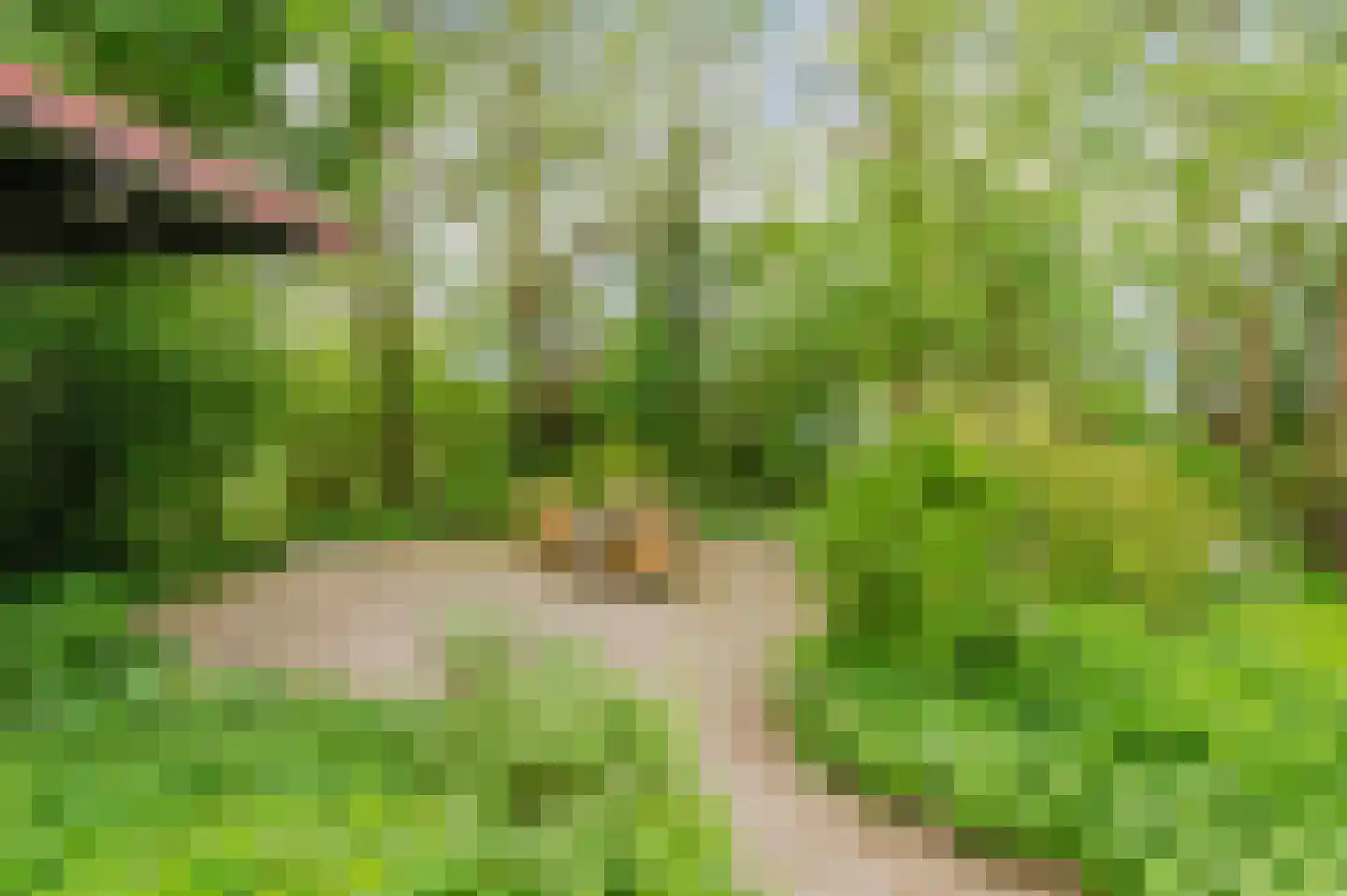De Ripen 16 Nij Beets thumbnail 31