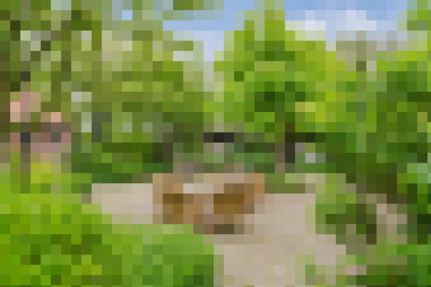 De Ripen 16 Nij Beets thumbnail 34