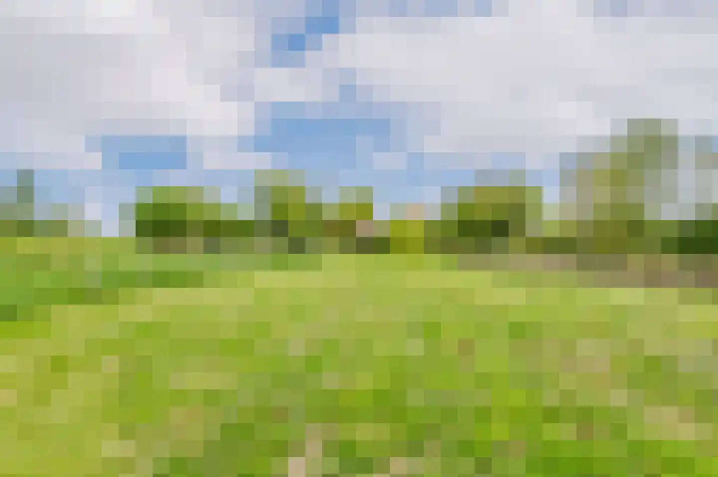 De Ripen 16 Nij Beets thumbnail 36