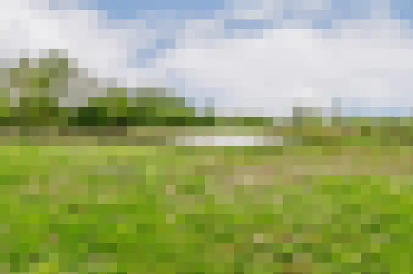 De Ripen 16 Nij Beets thumbnail 37
