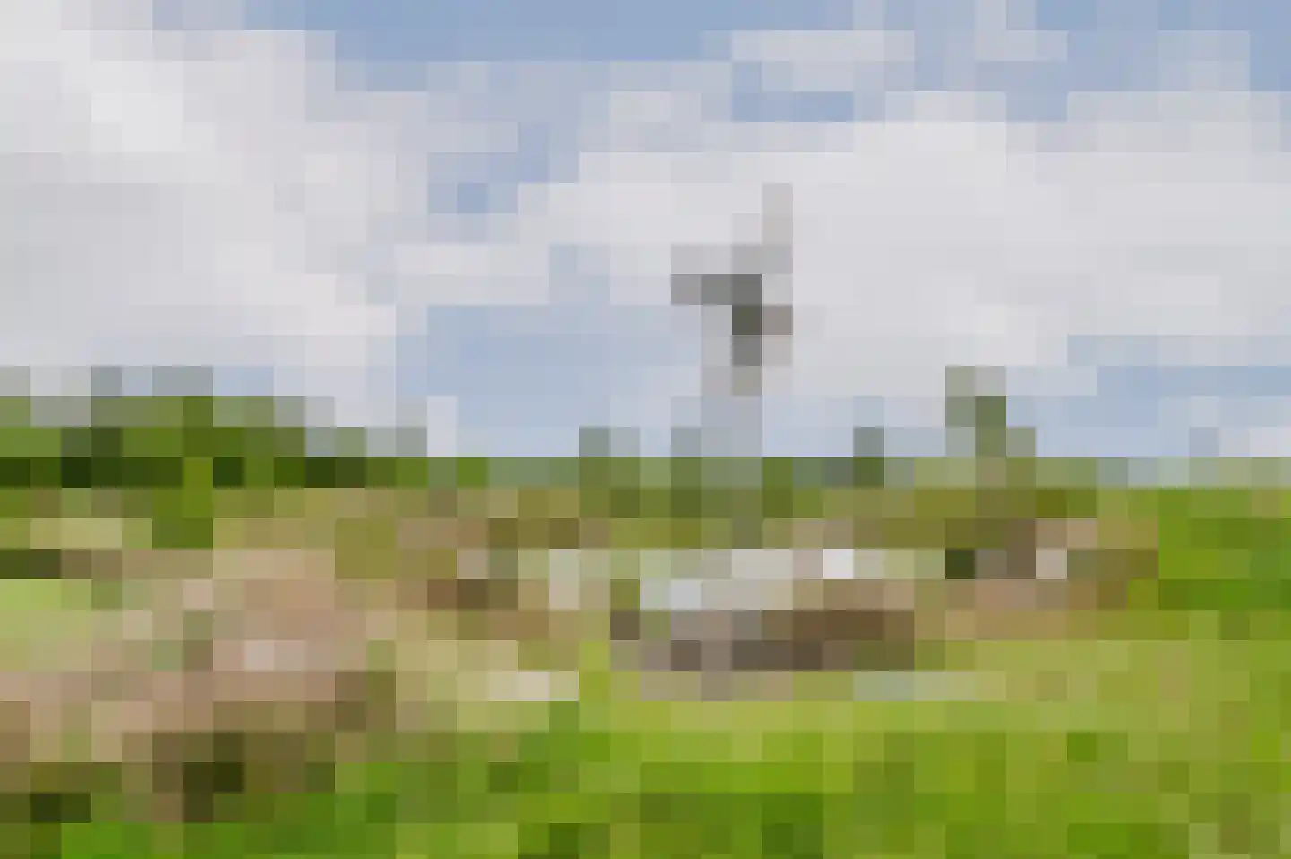 De Ripen 16 Nij Beets thumbnail 38