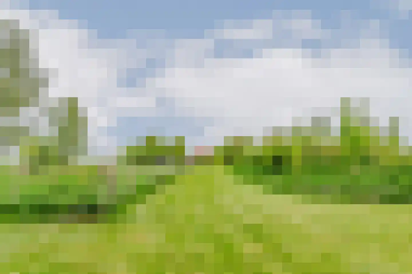 De Ripen 16 Nij Beets thumbnail 39