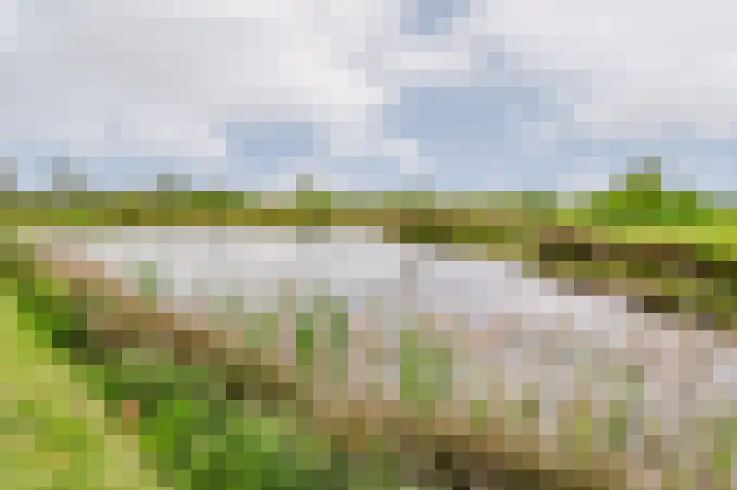 De Ripen 16 Nij Beets thumbnail 40