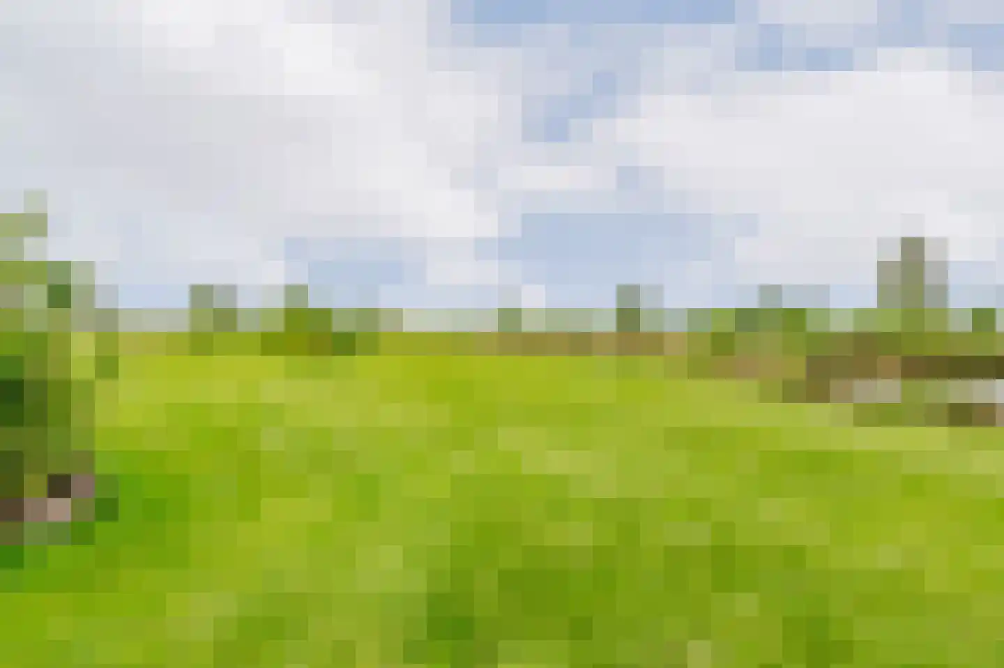De Ripen 16 Nij Beets thumbnail 41