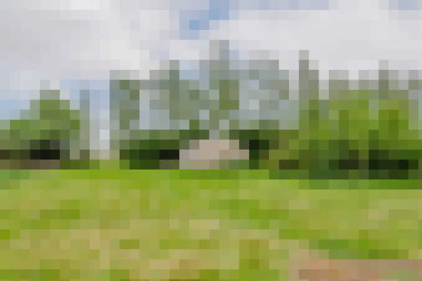 De Ripen 16 Nij Beets thumbnail 42