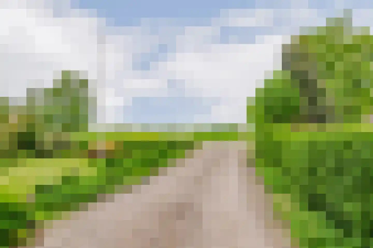 De Ripen 16 Nij Beets thumbnail 44