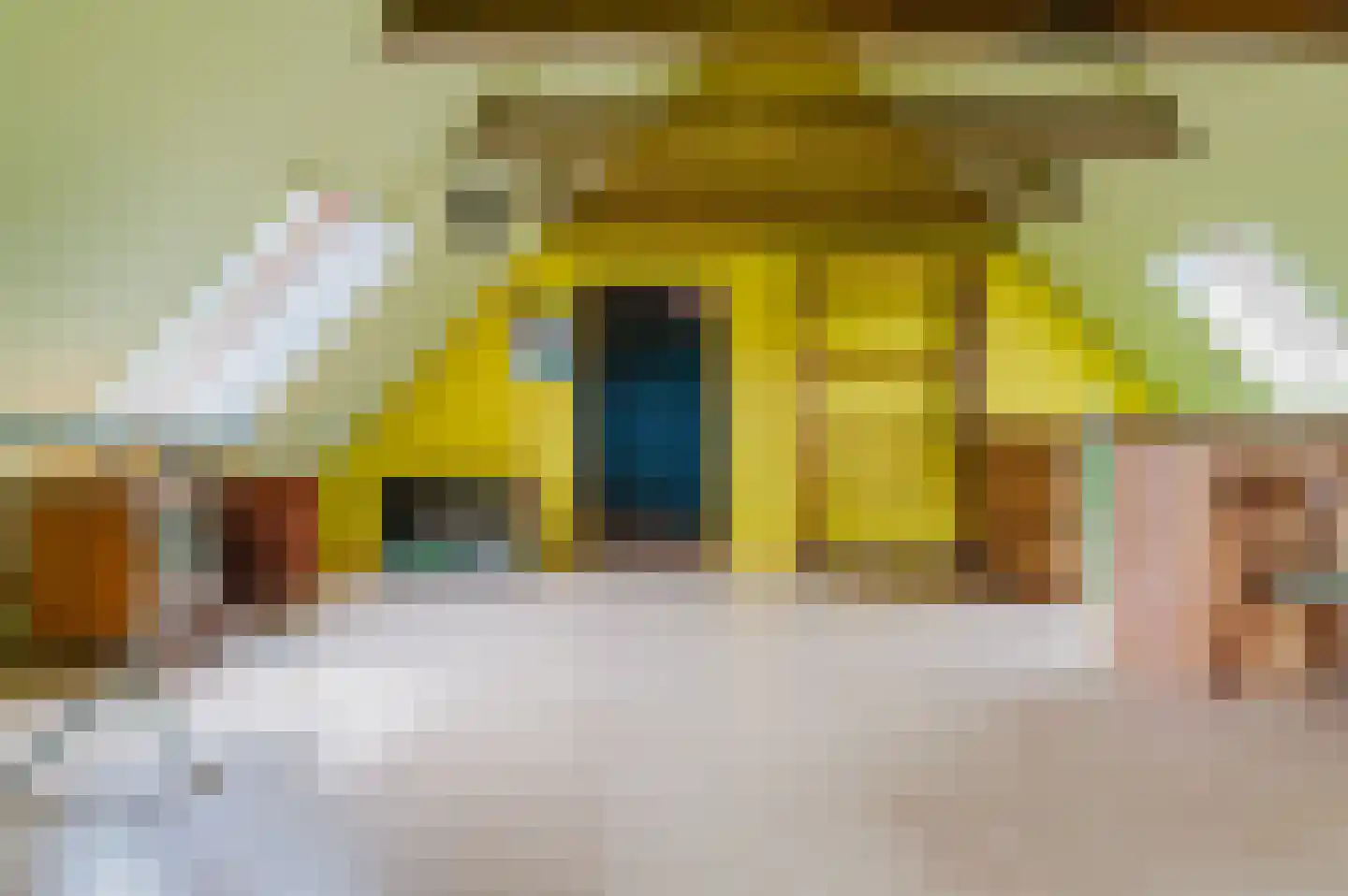 De Ripen 16 Nij Beets thumbnail 77