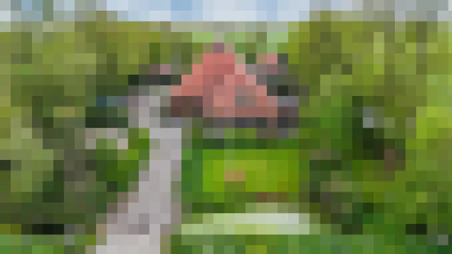 De Ripen 16 Nij Beets thumbnail 8