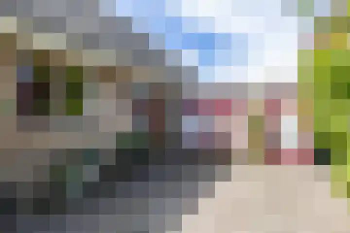 de Rippert 34 Holwierde thumbnail 15