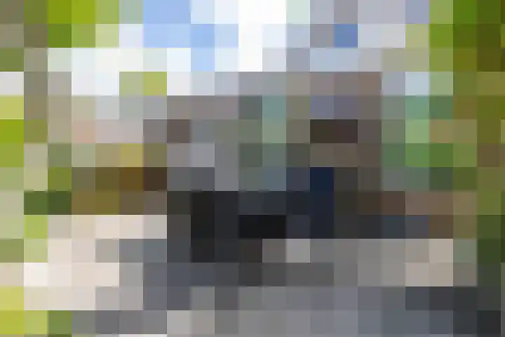 de Rippert 34 Holwierde thumbnail 64