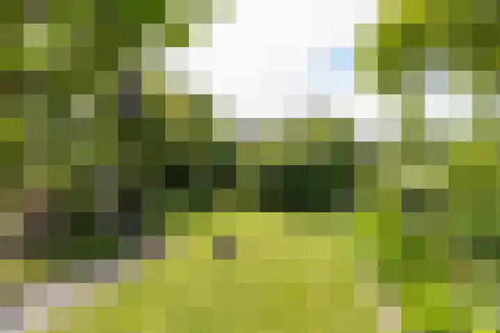 de Rippert 34 Holwierde thumbnail 66
