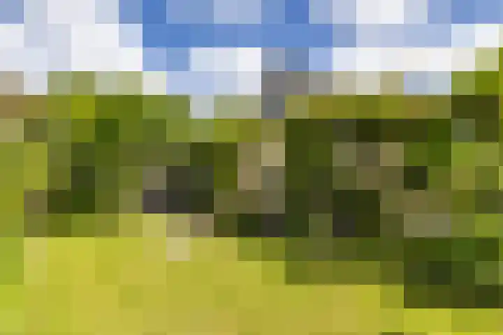 de Rippert 34 Holwierde thumbnail 68