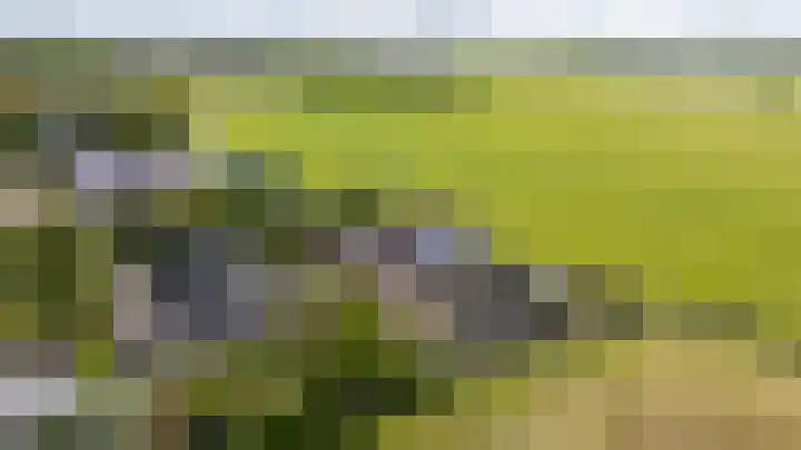 de Rippert 34 Holwierde thumbnail 7