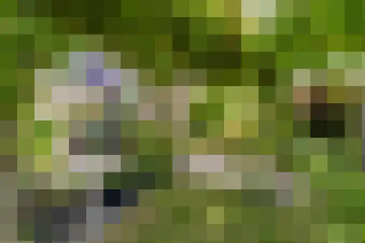 de Rippert 34 Holwierde thumbnail 70