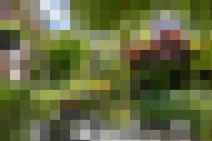 de Rippert 34 Holwierde thumbnail 71